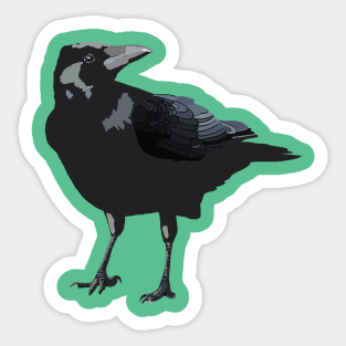 Raven Sticker